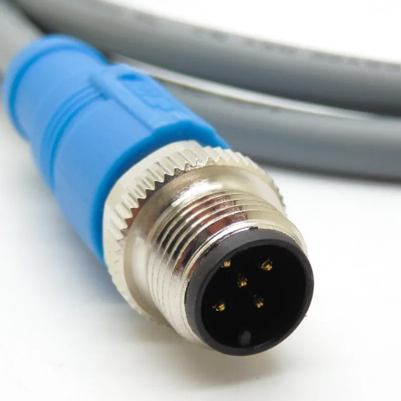 TE Connectivity M12 Male Straight to Female Straight Cable T4162123005-002