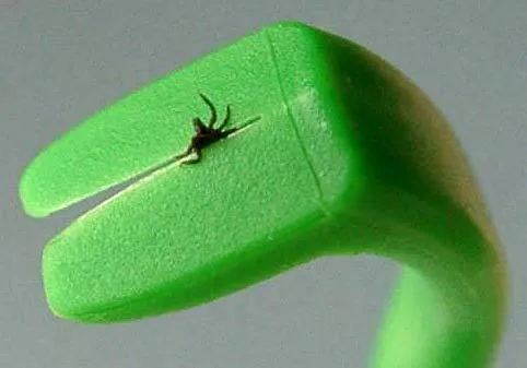 Tick Tornado by ZenPet