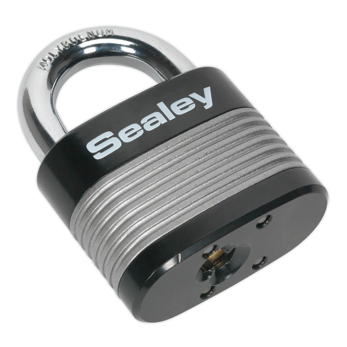 Zinc Coated Steel Body Padlock 63mm