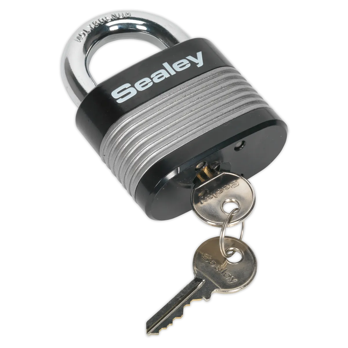 Zinc Coated Steel Body Padlock 63mm